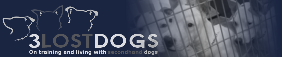 3 Lost Dogs